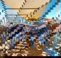 Roma - Southport Accommodation