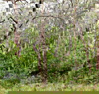 Scutts Hut Trail - Accommodation Southport