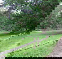 St Albans Reserve - Accommodation Southport