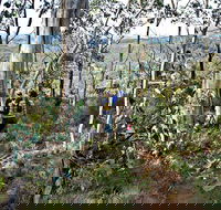 Summits Walking Track