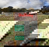 The Wallaby Track - Southport Accommodation