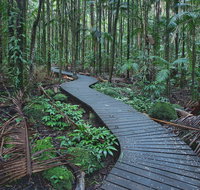 The Channon Protesters Falls Nimbin and Mount Nardi - Southport Accommodation