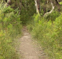Three Views walking track - Southport Accommodation