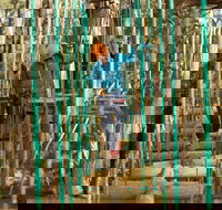 Trees Adventure Yeodene Park - Southport Accommodation