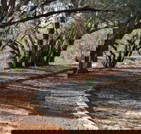Warrego Floodplain walking track - Accommodation Southport
