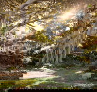 Wendy Whiteley's Secret Garden - Accommodation Southport