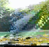 Airlie Beach to Cedar Creek Falls - Accommodation Southport