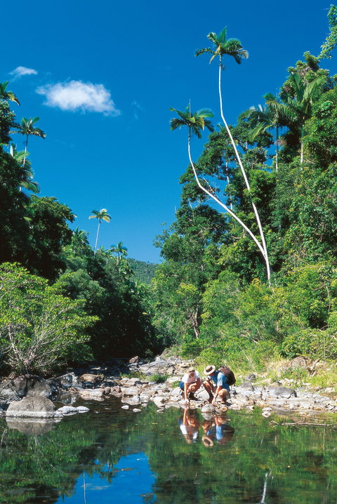 Airlie Beach To Cedar Creek Falls - Accommodation Southport 1