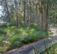Anabranch Loop Track - Southport Accommodation