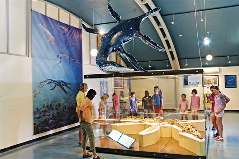 Australian Dinosaur Trail - Accommodation Southport 1