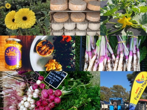 Ballina Farmers Market - Southport Accommodation 1