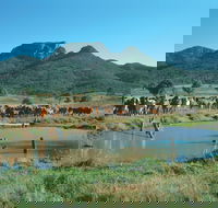 Biggenden - Southport Accommodation