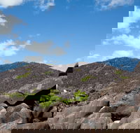 Black Mountain Kalkajaka National Park - Southport Accommodation