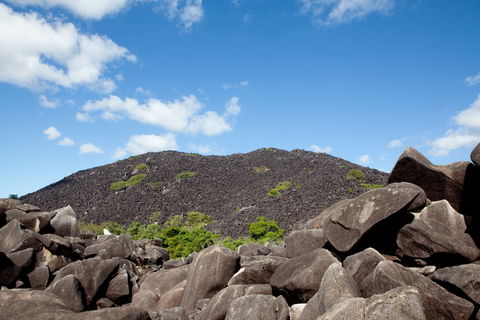 Black Mountain (Kalkajaka) National Park - Southport Accommodation 0