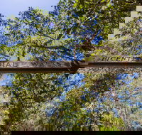 Bribie Island Bicentennial Trails - Accommodation Southport