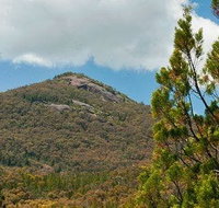 Burrowa-Pine Mountain National Park - Southport Accommodation