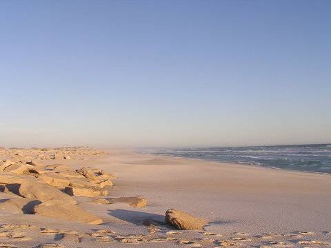 Chadinga Conservation Park - Southport Accommodation 0