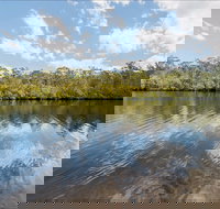 Cockatoo picnic area - Southport Accommodation