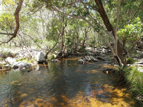 Emerald Creek, Dinden West Forest Reserve - Southport Accommodation 1