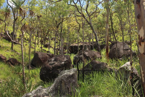 Emerald Creek, Dinden West Forest Reserve - Southport Accommodation 2