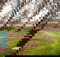 Gemmill Swamp Wildlife Reserve - Accommodation Southport