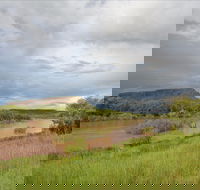 Judbarra / Gregory National Park - Accommodation Southport