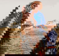 Katherine Outback Experience - Horse Riding Experience - Accommodation Southport