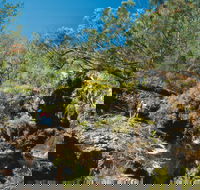 Kroombit Tops National Park - Southport Accommodation