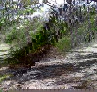 Lanky's Walk - Accommodation Southport