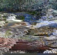 Liffey Falls Reserve - Accommodation Southport