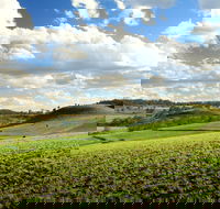 Lions Park Hodgson Vale - Southport Accommodation