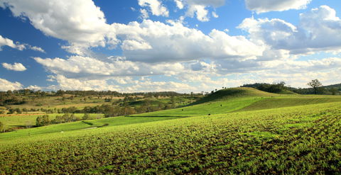 Lions Park, Hodgson Vale - Southport Accommodation 0