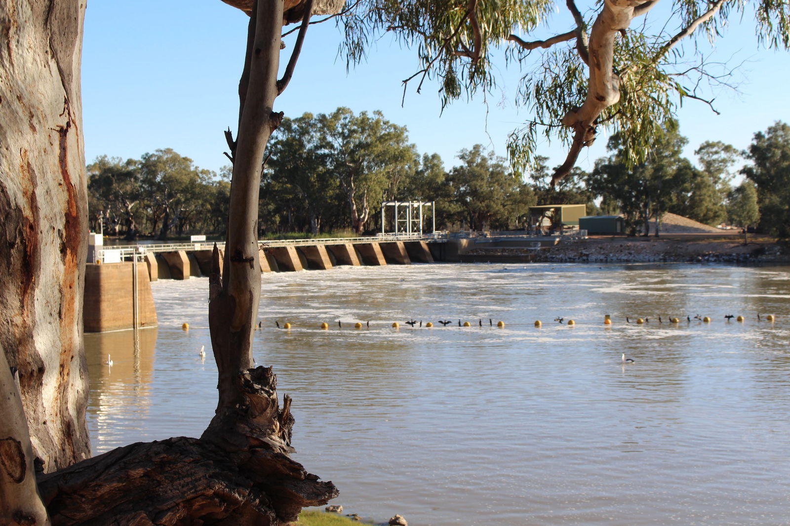The Riverland And Murraylands SA Southport Accommodation