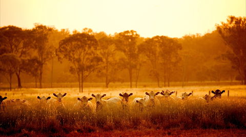 Maclagan - Southport Accommodation 2