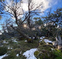 Mount Torbreck Summit Walk - Southport Accommodation