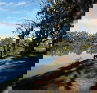 Murray River National Park - Katarapko - Southport Accommodation