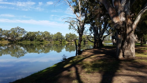 Murray River National Park - Katarapko - Southport Accommodation 0
