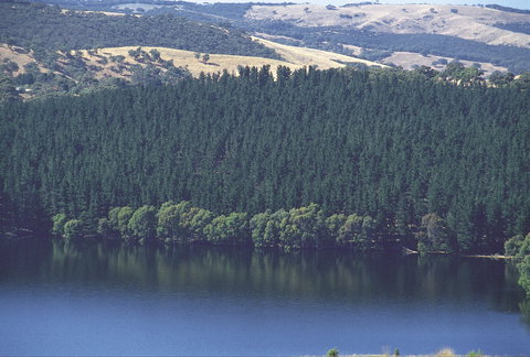 Myponga Reservoir Lookout - Accommodation Southport 0
