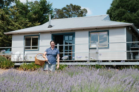 Nannup Lavender Farm - Southport Accommodation 1