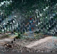 Nerang Mountain Bike Trails - Southport Accommodation