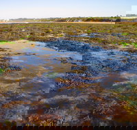 Point Danger Marine Sanctuary - Accommodation Southport