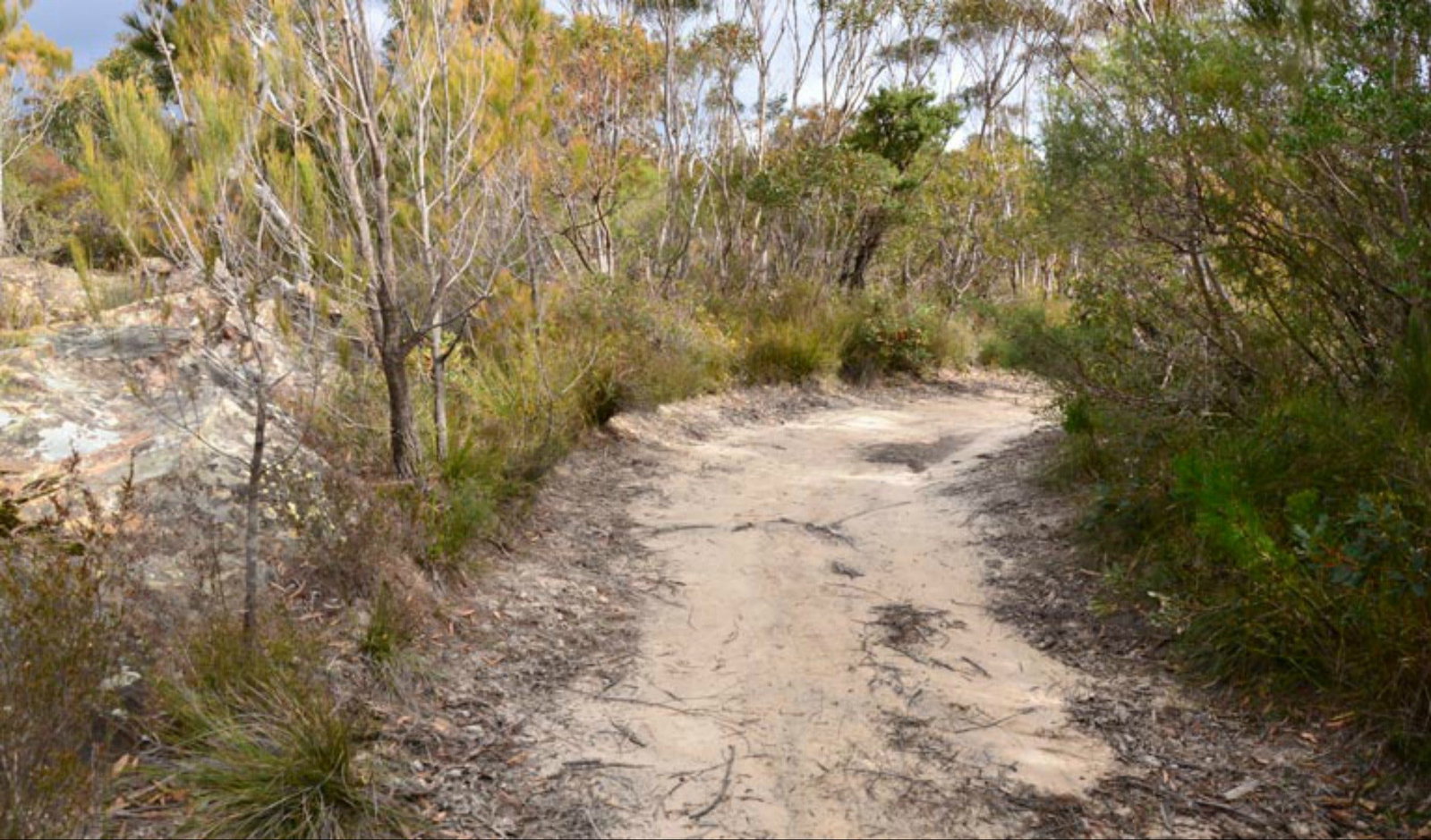 Browns Mountain NSW Southport Accommodation