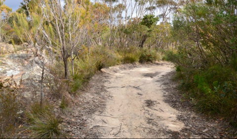 Red Rocks Trig Walking Track - Southport Accommodation 0