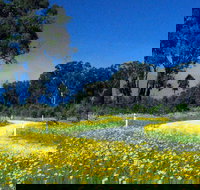 Shearer's Way - Southport Accommodation