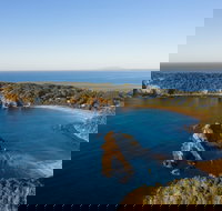 Snorkelling Guerilla Bay - Southport Accommodation