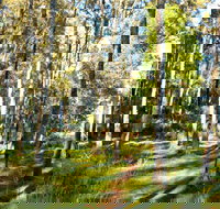 Square Head Track 1 - Southport Accommodation