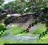 Summerland Antiques and Garden Centre - Accommodation Southport