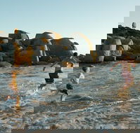 Venus Bay - Accommodation Southport