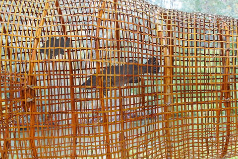 Wagirra Trail And Yindyamarra Sculpture Walk - Southport Accommodation 2
