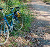 Walter Hood ride from Cudmirrah - Southport Accommodation